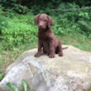 Meet your Posher, Aimee